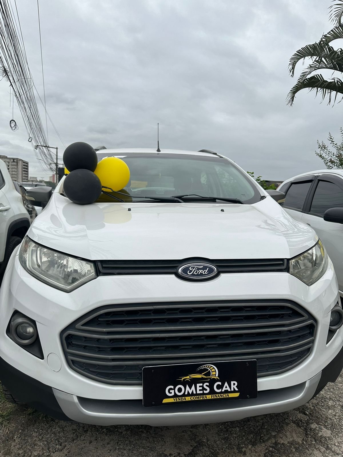 EcoSport 1.6